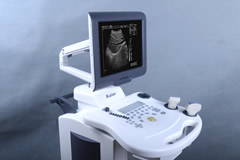 B超基礎知識學習--B超基本原理