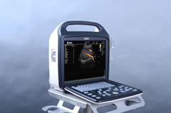 動物B超的應用范圍 獸用B超用途分析