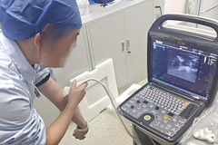 B超檢查在懷孕初期多久做一次對寶媽寶寶無害