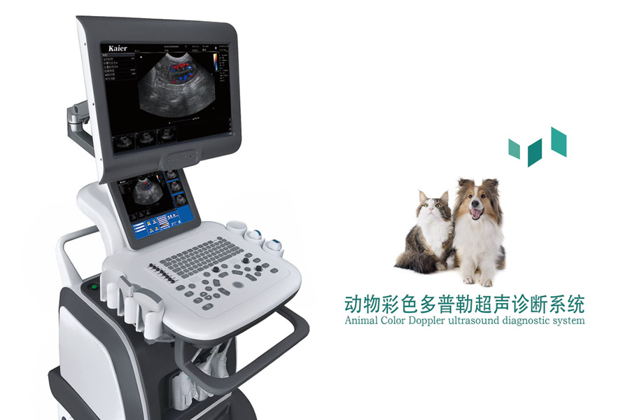 教您怎樣使用獸用B超機？