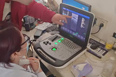 【四維彩超機】四維彩超檢查與唐篩檢查區別？