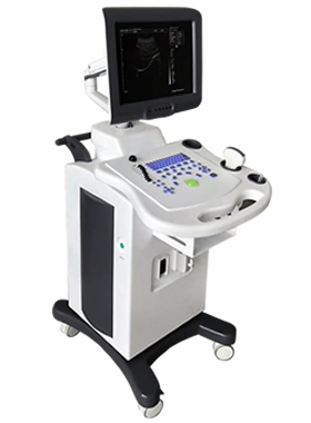 推車(chē)式全數(shù)字黑白B超機(jī)